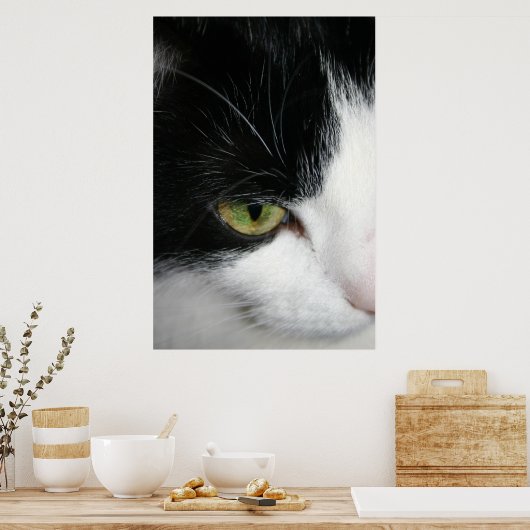 Poster Closeuse oculaire de chat (Cuisine)