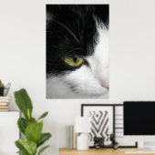 Poster Closeuse oculaire de chat (Bureau à domicile)