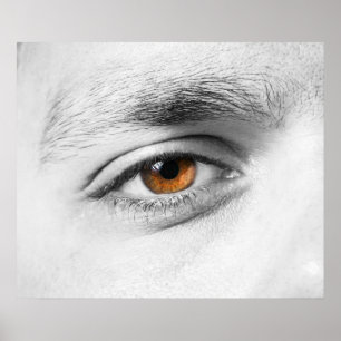 Poster Closeuse oculaire humain