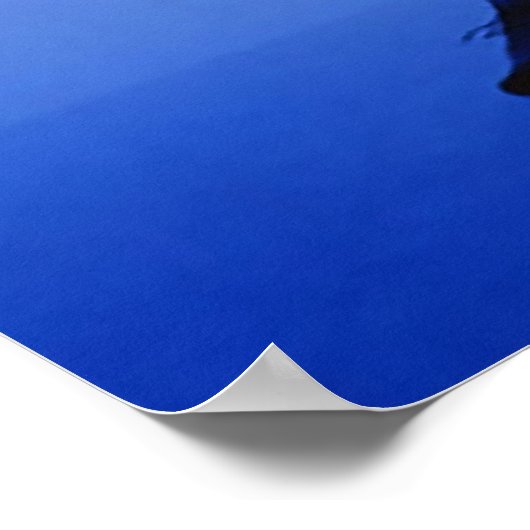 Poster Clôture (Coin)