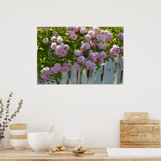Poster Clôture blanche avec Roses (Cuisine)