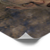 Poster Clôture de GOLLUM™ (Coin)