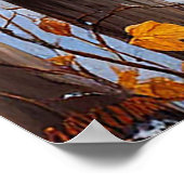 Poster Clôture enneigée avec oiseaux (Coin)