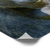 Poster Clôture Silverback (Coin)