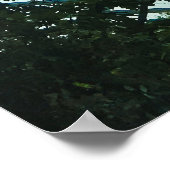 Poster Cloud Forest Glass Dome Interior (Coin)