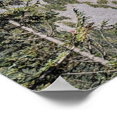 Poster Clouds Over Mount Rainier Scenic Landscape (Coin)