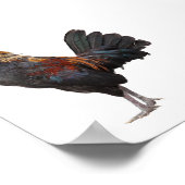 Poster Clouer le poulet (Coin)