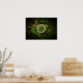 Poster Clover, (Cuisine)