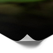 Poster Clover, (Coin)