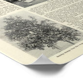 Poster Cloverdale, Californie (Coin)