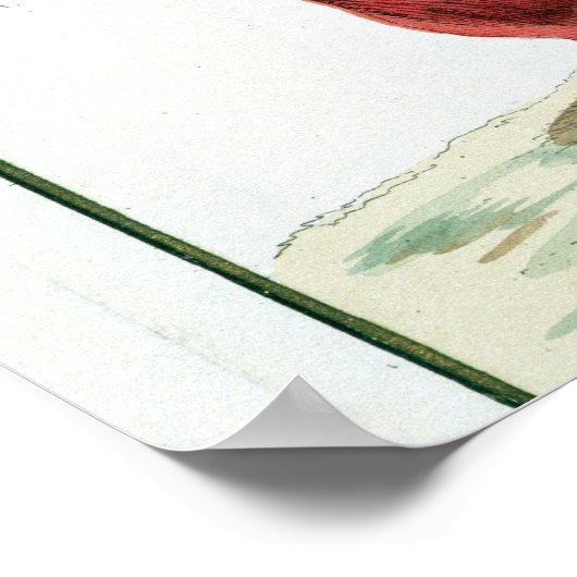 Poster Clovis I (481-511) Roi des Francs Saliens de (Coin)