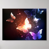 Poster Clowing Night Butterflies (Devant)