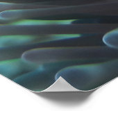 Poster Clown anénomefish (Coin)