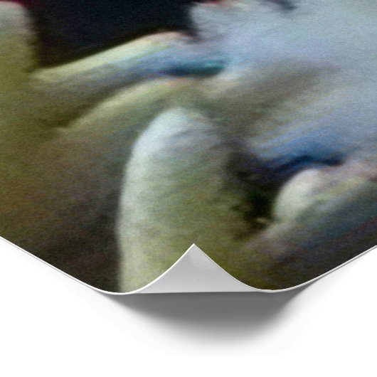 Poster Clown triggerfish (Coin)