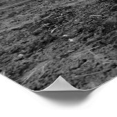 Poster Clowning Around : 1915 (Coin)