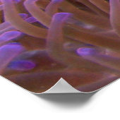 Poster Clowns autour (Coin)