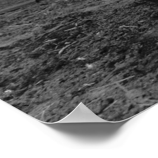 Poster Clowns vintages et cheval (Coin)