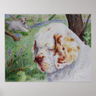 Poster Clumber Spaniel - Spring Woodland print