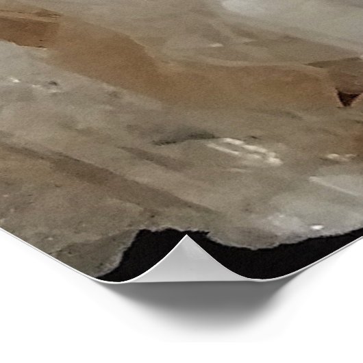 Poster Cluster Crystal Energy Quartz (Coin)