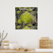 Poster Cluster de fleurs géantes Agave (Cuisine)