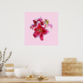 Poster Cluster de Stargazer Lilies (Cuisine)