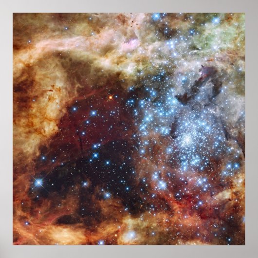 Poster Cluster Star (Devant)