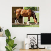 Poster Clydesdale (Bureau à domicile)