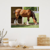 Poster Clydesdale (Cuisine)