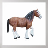 Poster Clydesdale 3 (Devant)