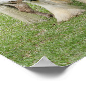 Poster Clydesdale debout au-dessus de Miniature Pony (Coin)