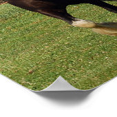Poster Clydesdale exécution de l'impression (Coin)