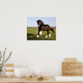 Poster Clydesdale Horse (Cuisine)