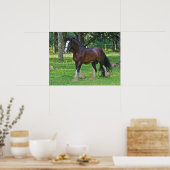 Poster Clydesdale Horse (Cuisine)