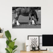 Poster Clydesdale noir et blanc (Bureau à domicile)