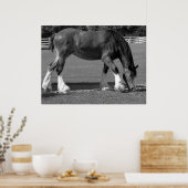 Poster Clydesdale noir et blanc (Cuisine)