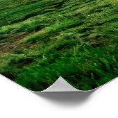 Poster Clydesdale Sunset (Coin)