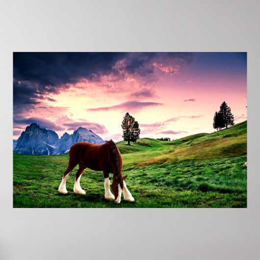 Poster Clydesdale Sunset (Devant)
