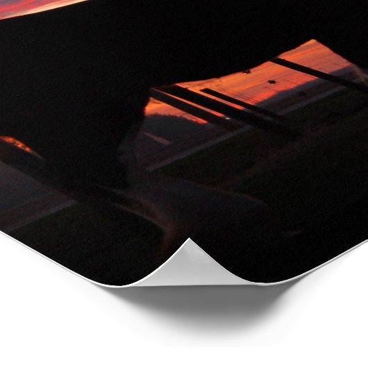 Poster Clydesdale Sunset (Coin)