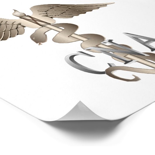 Poster CNA Caduceus (Coin)