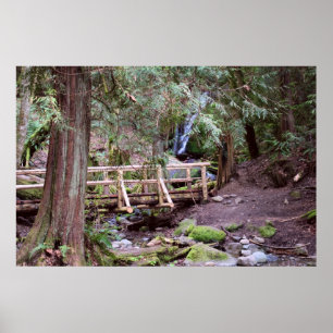 Poster Coal Creek Falls Walking Bridge Imprimer