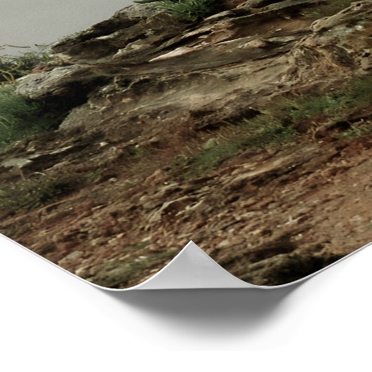 Poster Coastal Sanctuary (Coin)