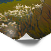 Poster Coastal tranquillité (Coin)