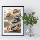 Poster Coastal Wall Art Huster Shells sur l'affiche de bo