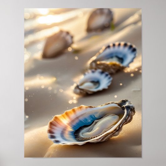 Poster Coastal Wall Art Huster Shells sur l'affiche de bo (Devant)