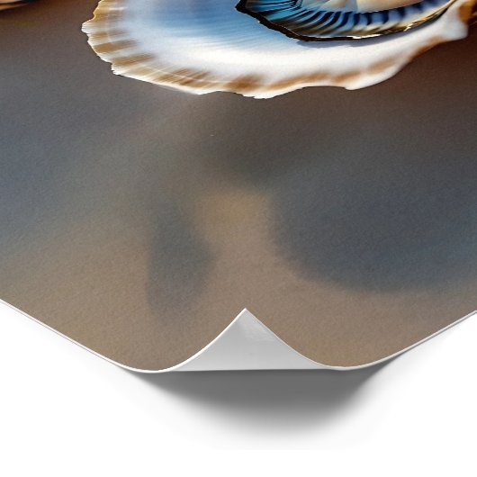 Poster Coastal Wall Art Huster Shells sur le rivage (Coin)