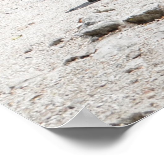 Poster Coba Pyramide Ruines Riviera Maya Mexique (Coin)