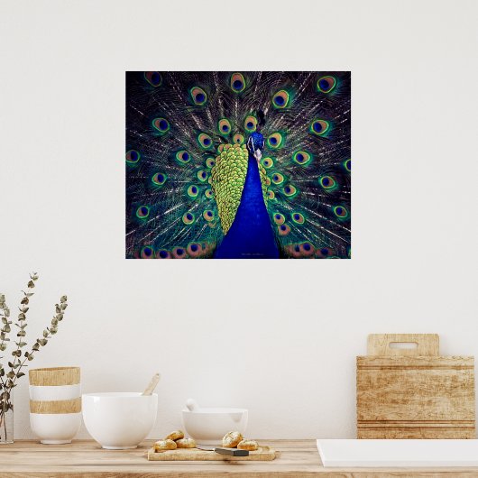 Poster Cobalt Blue Peacock (Cuisine)