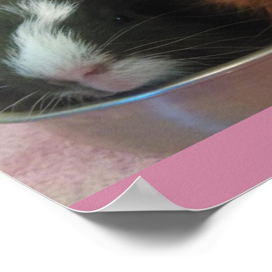 Poster cobayes dans la poêle à jouets (Coin)