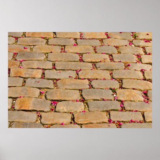 Poster Cobblestone Walking Detail (Devant)