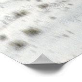 Poster Cobra AH-1 (Coin)